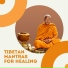 Tibet Academy