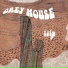 Grey Mouse