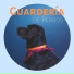 Música Relajante para Perros