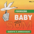 Banda Forrozão Baby Som
