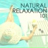 Natural Energy Master