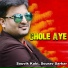 Souvik Kabi