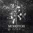 Монотон