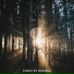 Relaxing Nature Sounds Collection