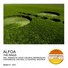 Alfoa