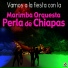 Marimba Orquesta Perla de Chiapas