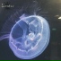 Lunatox