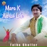 Talha Ghaffar
