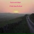 Fadi Awad, Band