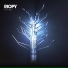 RIOPY