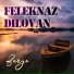 Feleknaz Dilovan