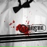 Birdstrike