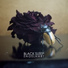 Black Sleep