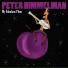 Peter Himmelman