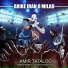 Amir Tataloo