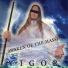 Vigor
