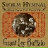 Grant Lee Buffalo