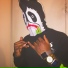 King Staccz