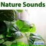 Sounds Of Nature