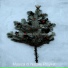 Musica di Natale Playlist