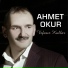 Ahmet Okur