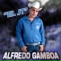 Alfredo Gamboa