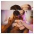 Audace
