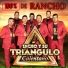 Tacho y Su Triángulo Calentano
