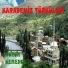 Ahmet Ece