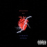 Mikail x Young Ra