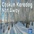 Coskun Karadag
