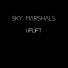 Sky Marshals