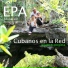 Cubanos en la Red grupo ecologista