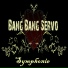 Bang Bang Servo