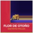 Distrito Polar