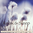 Sleep Music Lullabies for Deep Sleep