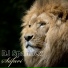 DJ Spandex