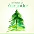 Åsa Jinder