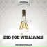 Big Joe Williams
