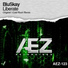 BluSkay