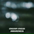 Imaginary Invasion