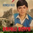 Urfalı Seyfo