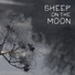 Sheep On The Moon