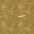 DRYNOV