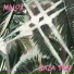 Malox feat. Tito, Echo