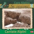 Coro Alpino Su Insieme