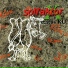 Solfaktor X