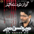 Mir Hassan Mir