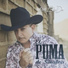 El Puma de Sinaloa