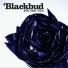 Blackbud